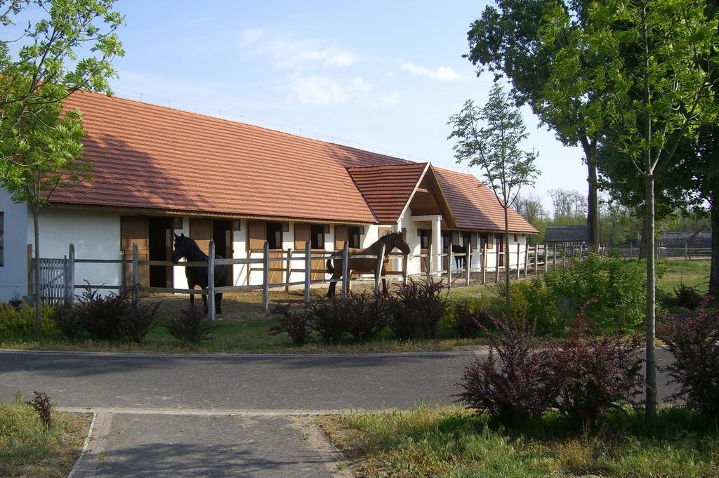 Sarlospuszta Club Hotel Tatarszentgyorgy Exterior photo